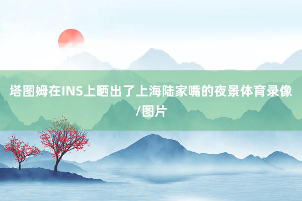 塔图姆在INS上晒出了上海陆家嘴的夜景体育录像/图片