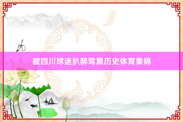 被四川球迷扒醉驾黑历史体育集锦