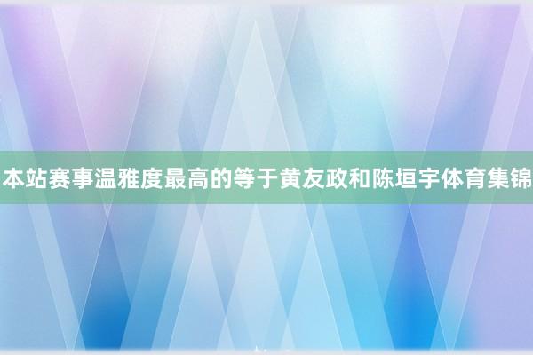 本站赛事温雅度最高的等于黄友政和陈垣宇体育集锦