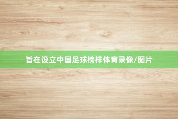 旨在设立中国足球榜样体育录像/图片