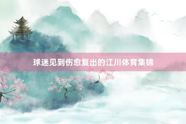 球迷见到伤愈复出的江川体育集锦