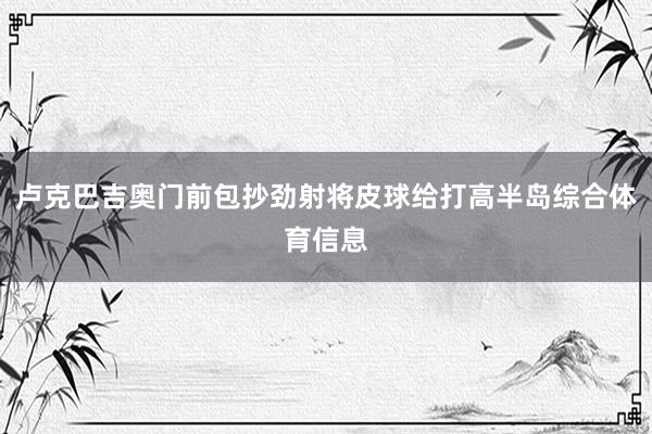 卢克巴吉奥门前包抄劲射将皮球给打高半岛综合体育信息