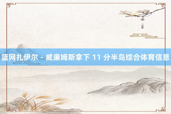 篮网扎伊尔 - 威廉姆斯拿下 11 分半岛综合体育信息